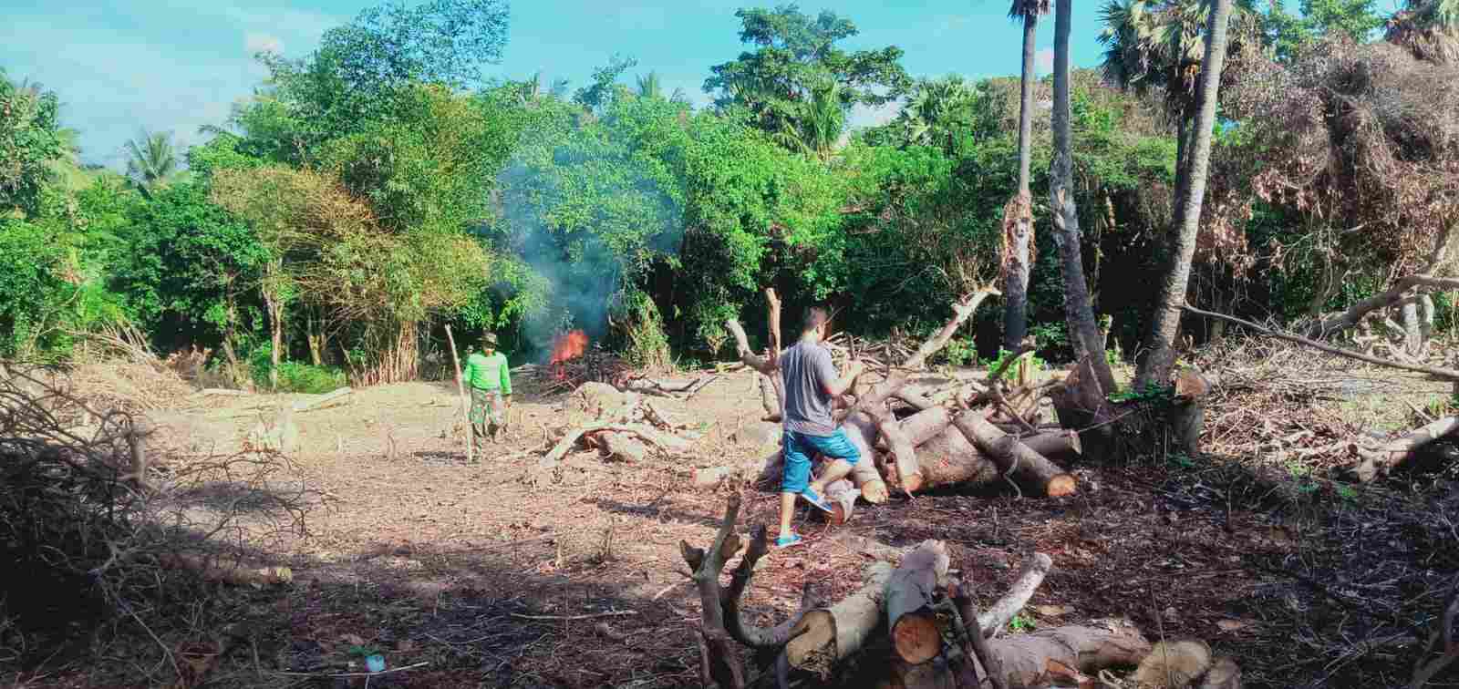 Anggota Babinsa-01/Larantuka Baksos Bersihkan Lahan Budidaya Kelor