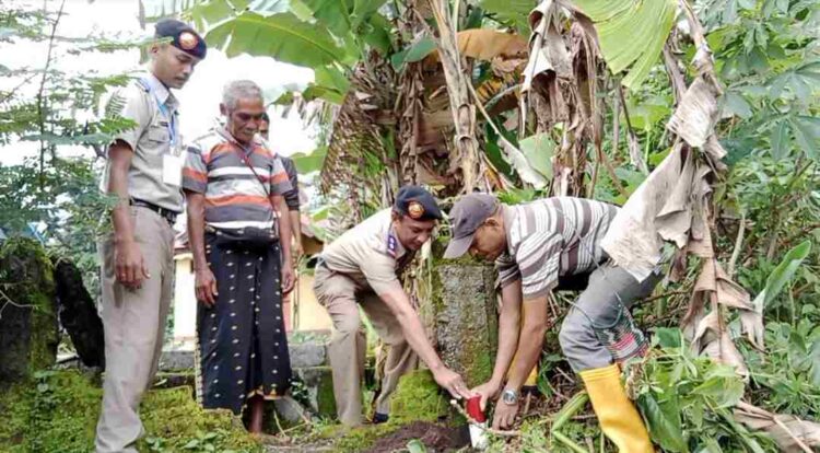 ATR BPN Ngada Gelar Serentak Pemasangan Patok di Desa Seso Kecamatan Soa Kabupaten Ngada