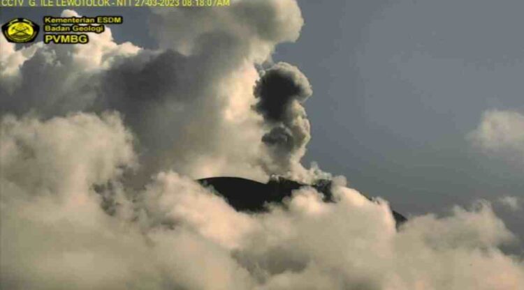 Gunung Api Ile Lewotolok Kembali Erupsi 57 Kali Letusan, Ketinggian 800 Meter