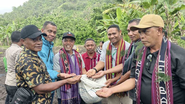 PLN UIP Nusra Lanjutkan Program TJSL di Lembata, Perkuat Pelatihan Petani dan Sarana Air Bersih