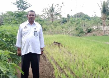 Kalapas Semuki Sulap Lahan Tidur jadi Tanaman Bernilai, Mandiri dengan Kesadaran Pribadi, Lapas Kelas III Lembata jadi Role Model