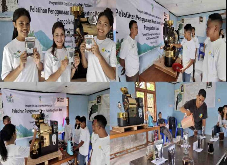 Dukung Ekonomi Lokal, PLN UIP Nusra Hadirkan Teknologi Pengolahan Kopi untuk Petani Wewo