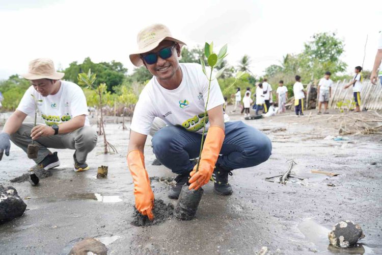 Hari Menanam Pohon Indonesia, PLN Grup NTB Tanam 5.000 Bibit Mangrove di Pesisir Lombok Timur