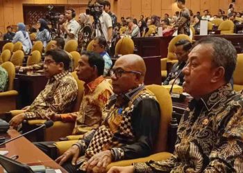 RUU Dakep Segera Disahkan, Bupati Lembata Desak Reformasi Dana Transfer dan Penguatan Dana Afirmasi untuk Keadilan Fiskal