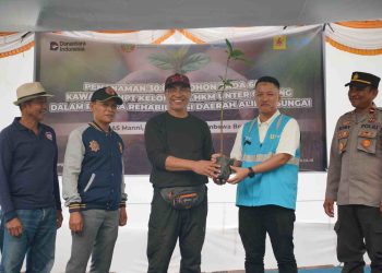 PLN UIP Nusra Rehabilitasi DAS Manni Lewat Penanaman 30.000 Pohon di HPT Sumbawa (Opsi 1)