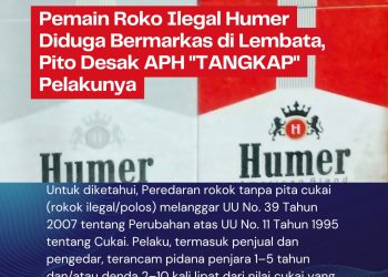 Pemain Roko Ilegal Humer Diduga Bermarkas di Lembata, Pito Desak APH “TANGKAP” Pelakunya