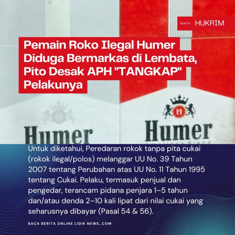 Pemain Roko Ilegal Humer Diduga Bermarkas di Lembata, Pito Desak APH “TANGKAP” Pelakunya
