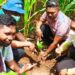 40 Tahun, AMMAPAI Kupang Tanam 5000 Pohon Keliling Ile Ape