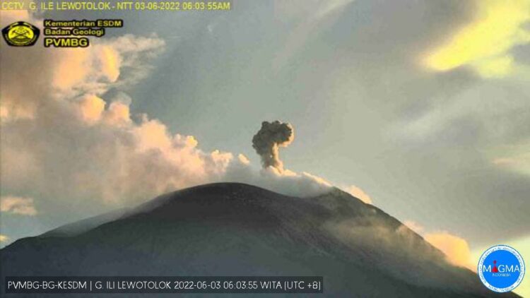Gunung Api Ili Lewotolok Mengalami 9 Kali Letusan Mencapai Ketinggian 100 – 700 M