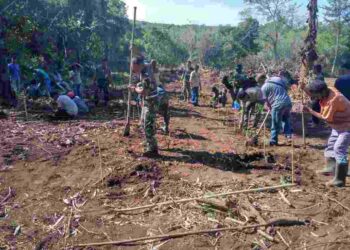 Dandim 1624/Flotim Pimpin Anggota Turun Ke Lapangan Tanam Kelor