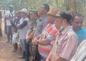 Jalin Silaturahmi Dengan Tokoh Adat, Pjs Danramil Wulanggitang Hadiri Prosesi Adat Patiea