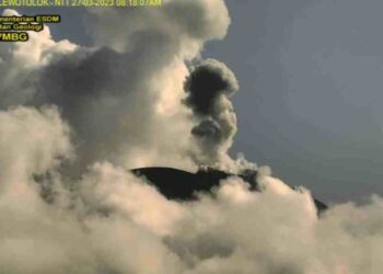 Gunung Api Ile Lewotolok Kembali Erupsi 57 Kali Letusan, Ketinggian 800 Meter