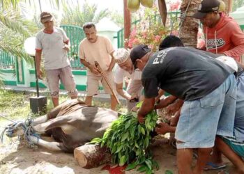 Peringati Hari Raya Idul Adha 1444 H, Panitia Salurkan Seribu Penerima Hak Hewan Kurban