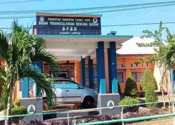 Diduga Kalak BPBD Flotim Tidak Jujur Atas Anggaran Erupsi, Kominfo Tolak Bicara, Theo Wungubelen : Ada Apa  dengan kedua Lembaga ini