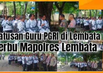 Para Guru Rela Jalan Kaki Serbu Mapolres Lembata Demi Mendukung Guru Dami