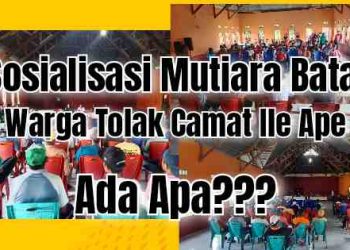 Ali – ali Warga Tolak Camat Ile Ape Gegara Sosialisasi Budidaya Mutiara Ada Apa?