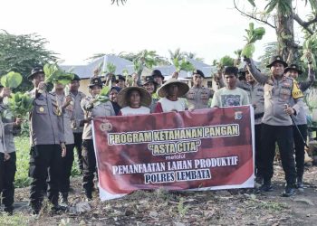 Dukung Program Asta Cita Presiden RI, Kapolres Lembata Gelorakan Ketahanan Pangan dan Panen Hasil Pertanian 