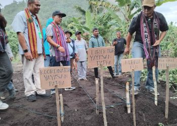 Warga Terdampak Geothermal Atadei Diperkuat Budidaya Kacang Tanah dan Tanaman Bio Farmaca