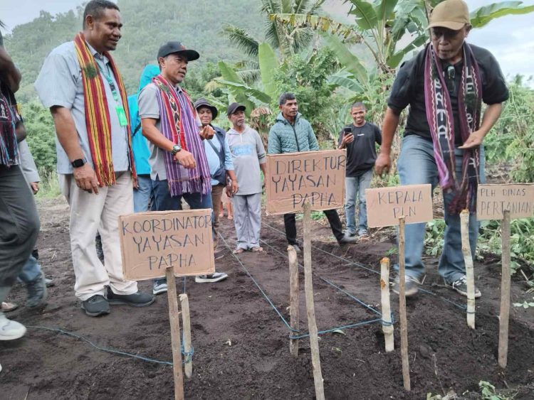 Warga Terdampak Geothermal Atadei Diperkuat Budidaya Kacang Tanah dan Tanaman Bio Farmaca