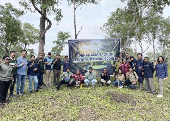 Aksi Tanam Pohon Serentak, PLN UIP Nusra bersama UPT KPH Wilayah TTS Sebar Ratusan Bibit Pohon di Kabupaten Timor Tengah Selatan