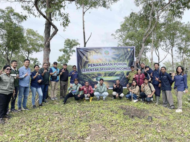 Aksi Tanam Pohon Serentak, PLN UIP Nusra bersama UPT KPH Wilayah TTS Sebar Ratusan Bibit Pohon di Kabupaten Timor Tengah Selatan