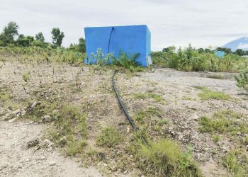 Pemda Lembata Cq Dinas PUPR dan PLN Lembata Serobot Lahan Bersertifikat, Kuasa Hukum Berikan “SOMASI “