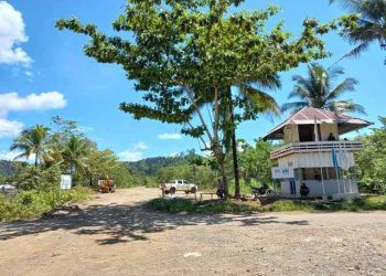 Kontraktor Serobot Lahan Tambang Nikel, Kelompok Tani Hutan Kemasyarakatan Silva Soagimalaha Layangkan Surat Terbuka ke Tommy Soeharto