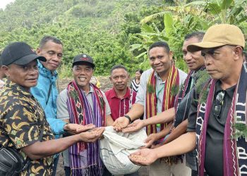 PLN UIP Nusra Lanjutkan Program TJSL di Lembata, Perkuat Pelatihan Petani dan Sarana Air Bersih