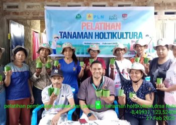 Sambut Idulfitri, PLN dan Kelompok Tani Nubahaeraka Siapkan Panen Bersama dan Perkuat Program CSR Berbasis Pertanian