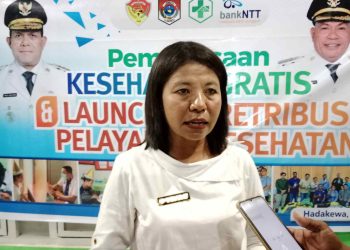 Kristina Kewa : Gubernur Melki Laka Lena Saksikan Pelayanan Kesehatan Gratis di Puskesmas Hadakewa