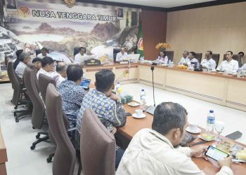 Respons Penolakan Geothermal, PLN UIP Nusra Siapkan Ruang Dialog Sehat Melalui Satgas Penanganan Isu Sosial dan Teknis