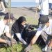 Sambut Hari Lingkungan Hidup Sedunia, PLN UIP Nusra Gelar Bersih Pantai Loang Baloq sebagai Rangkaian Kampanye Zero Waste Warriors