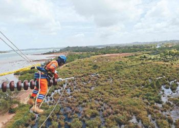 Wujud Kontribusi ke Negara, PLN Setor 65,59 Triliun Lewat Dividen, Pajak, dan PNBP