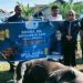 Wabup Nasir Laode Serahkan Bantuan Hewan Qurban Dari Anggota DPR RI, Julie Sutrisno Laiskodat
