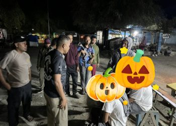 Diduga Bawa Ganja, Seorang Pemuda Dibekuk Satresnarkoba Polres Lembata, Pelaku dan BB Diamankan