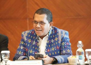 Gubernur NTT Temui Pengembang Geothermal Sampaikan Rekomendasi Perbaikan Berkelanjutan untuk PLTP