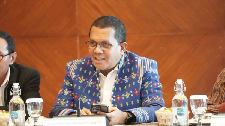 Gubernur NTT Temui Pengembang Geothermal Sampaikan Rekomendasi Perbaikan Berkelanjutan untuk PLTP