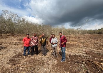 Gerakan Menanti Hujan, Bupati Tuaq Ubah Hutan Tidur Wuakerong Jadi Lahan Pertanian