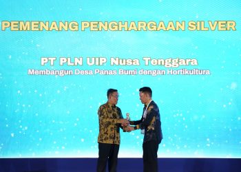 Dari Lahan Tidur ke Hortikultura, PLN UIP Nusra Sabet Penghargaan Desa Berdaya dari Kementerian Desa PDTT