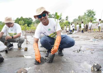 Hari Menanam Pohon Indonesia, PLN Grup NTB Tanam 5.000 Bibit Mangrove di Pesisir Lombok Timur