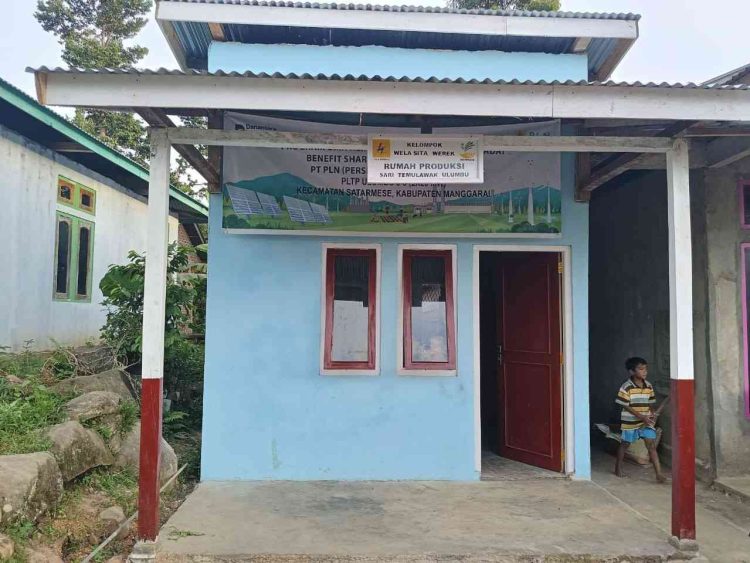 PLN Peduli PLN UIP Nusra Hadirkan Rumah Produksi Temu Lawak sebagai Lokomotif Ekonomi Baru Desa Wewo