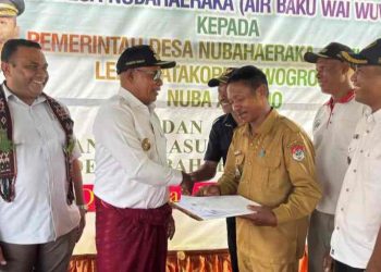 Jajaki Kerjasama Lembata-Timor Leste, Bupati Tuaq Ajak Manajemen PT Prime Timor Tinjau Bukit Hog, Dorong Ekspor Daging Babi Organik