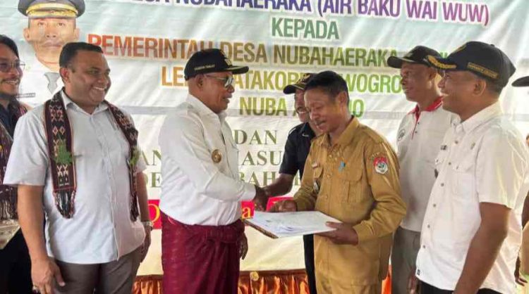 Jajaki Kerjasama Lembata-Timor Leste, Bupati Tuaq Ajak Manajemen PT Prime Timor Tinjau Bukit Hog, Dorong Ekspor Daging Babi Organik