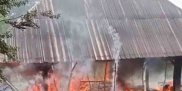 Sijago Merah Santap Rumah Warga Kolontobo, Seorang Lansia Berhasil Diselamatkan