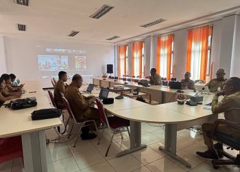 NTT Kompak Perjuangkan Kepastian PPPK, Pemda Lembata Usulkan Revisi Formula Perhitungan