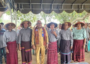 Sawah Menguning, Jalan Rusak: Kesenjangan Infrastruktur Mengancam Ketahanan Pangan Waikomo