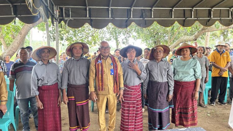 Sawah Menguning, Jalan Rusak: Kesenjangan Infrastruktur Mengancam Ketahanan Pangan Waikomo