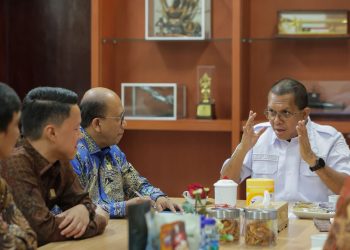 PLN dan Pemprov NTT Gelar Audiensi, Perkuat Sinergi Transisi Energi di NTT