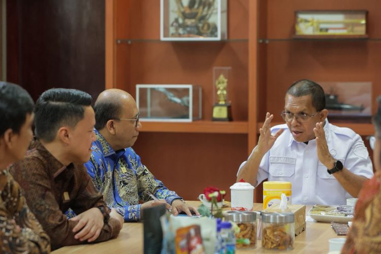PLN dan Pemprov NTT Gelar Audiensi, Perkuat Sinergi Transisi Energi di NTT