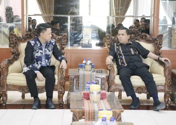 PLN Perkuat Transisi Energi Bersih, Geothermal Jadi Harapan Baru Flores